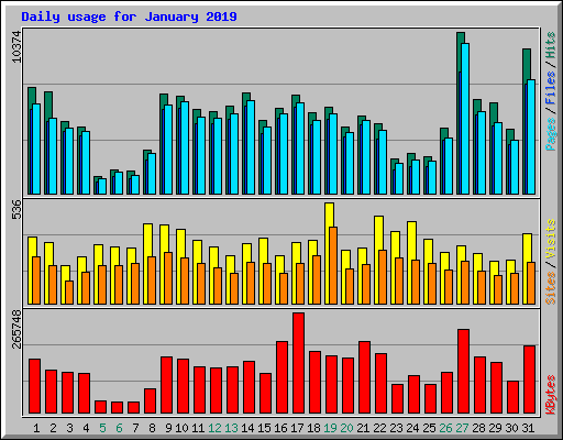 Daily usage for January 2019