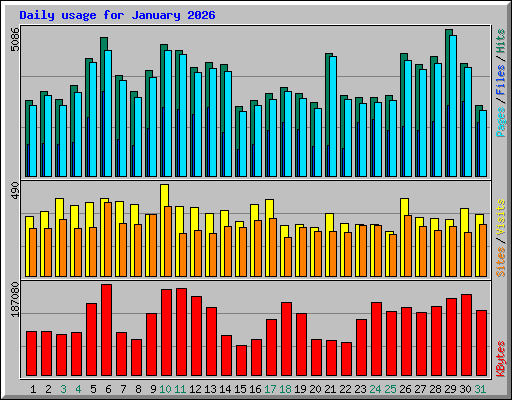 Daily usage for January 2026
