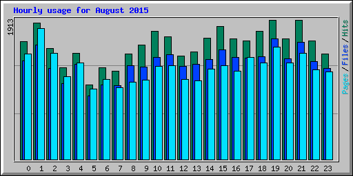 Hourly usage for August 2015