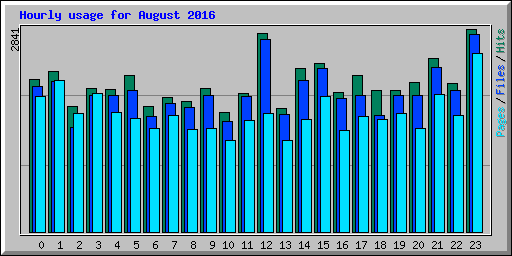 Hourly usage for August 2016