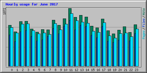Hourly usage for June 2017