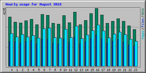 Hourly usage for August 2018