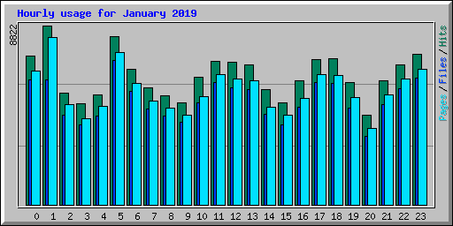 Hourly usage for January 2019