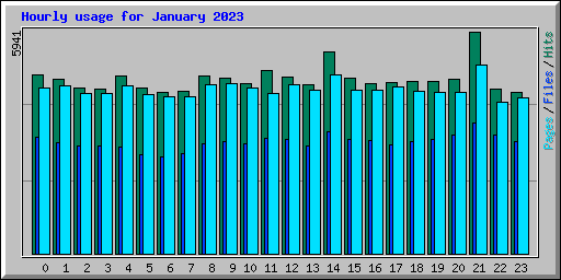 Hourly usage for January 2023