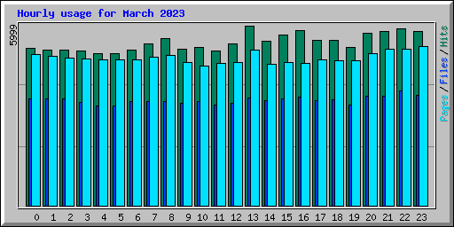 Hourly usage for March 2023