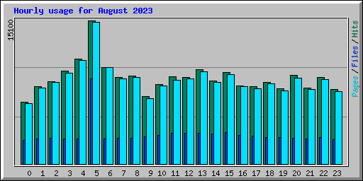 Hourly usage for August 2023
