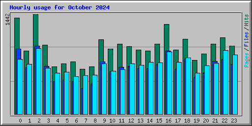 Hourly usage for October 2024