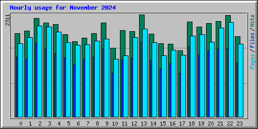 Hourly usage for November 2024