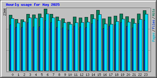 Hourly usage for May 2025