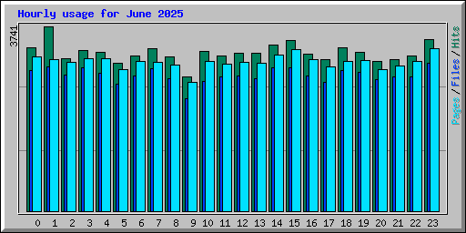Hourly usage for June 2025