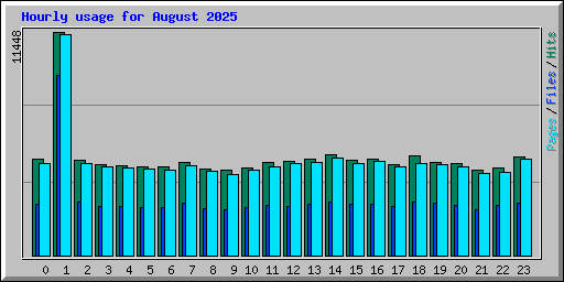 Hourly usage for August 2025