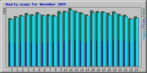 Hourly usage for November 2025