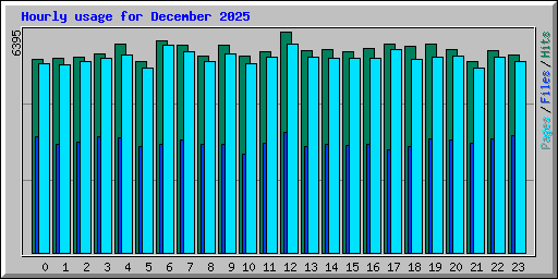 Hourly usage for December 2025