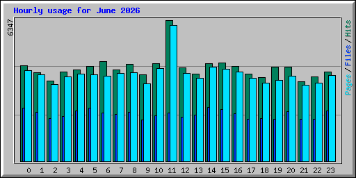 Hourly usage for June 2026